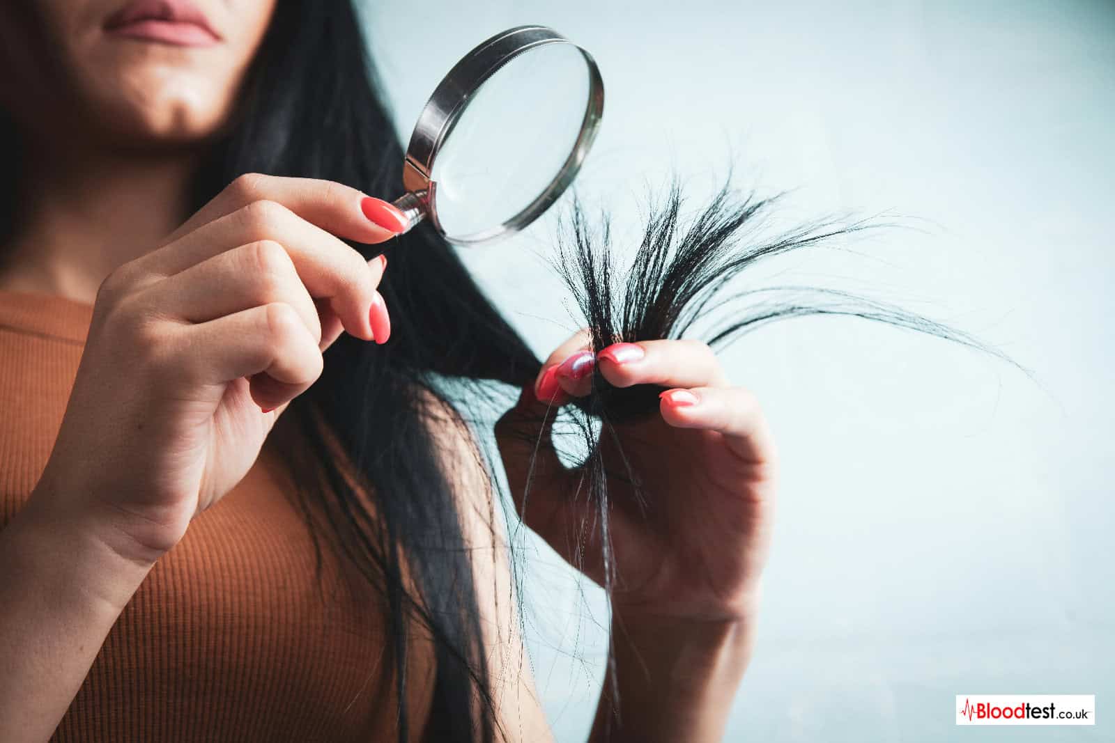 Testosterone Hair Loss