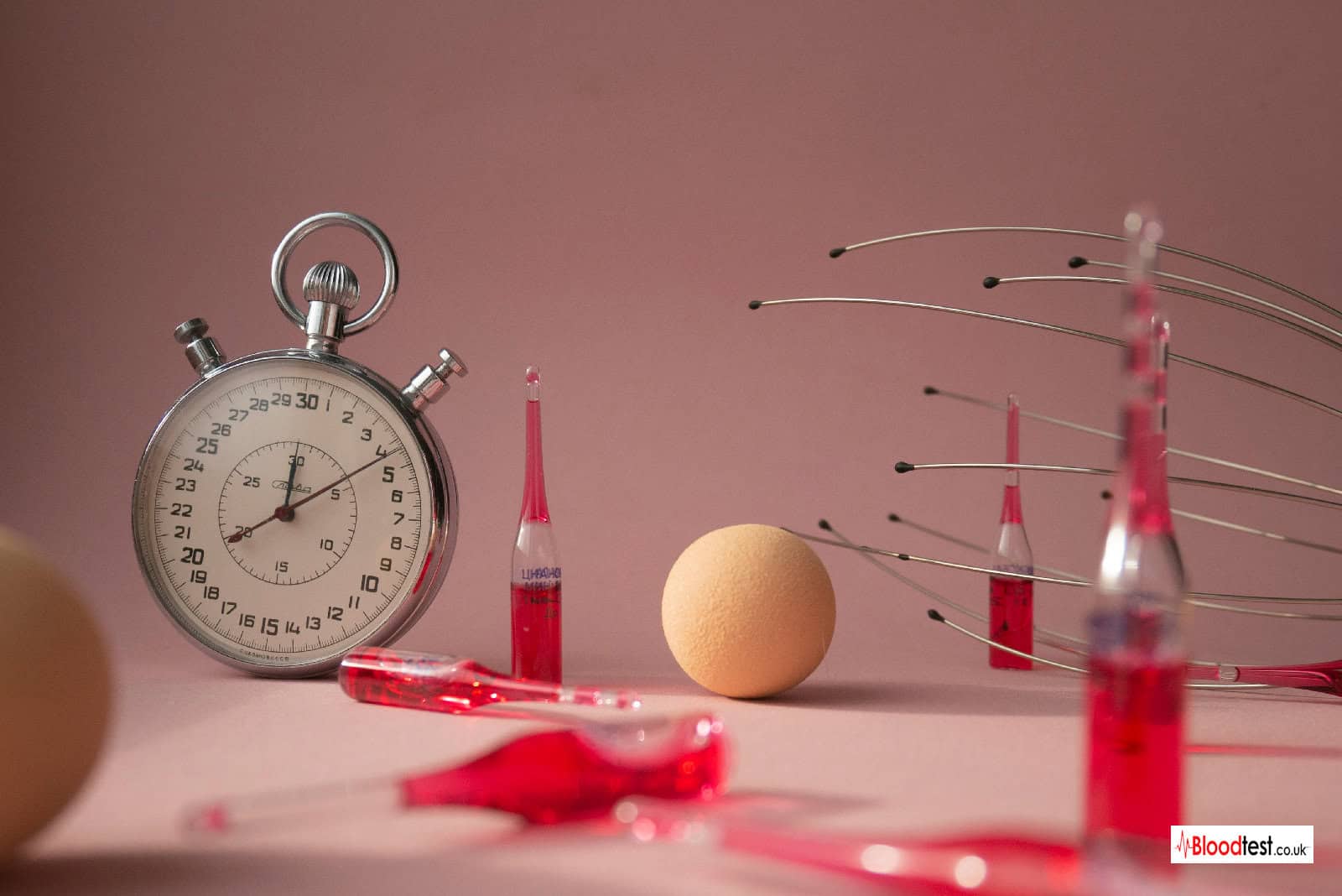 Vitamin B12 Tests