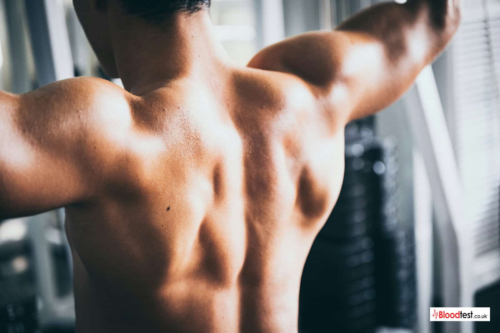 testosterone blood test